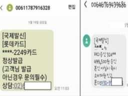 “고객님 발급 카드 아닌 경우 문의 필수” 스미싱 문자 누가 뿌렸나 봤더니