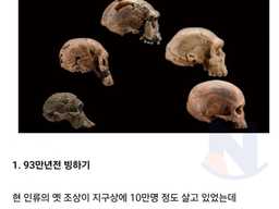 인류가 멸종직전까지 갔던 3가지 사건 ㄷㄷㄷ