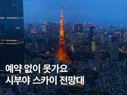 도쿄 시부야 스카이 전망대 입장권 예약 가는법 시간대 총정리