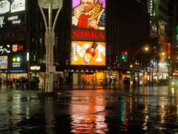 노랗게 익은 겨울왕국, 가을 삿포로