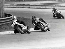 자유로 향하는 히치하이커를 위한 안내서