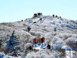 "설경하면 여기 3곳은 꼭 포함되죠" 국내 겨울 설경으로 빼놓을 수 없는 3대 산행지