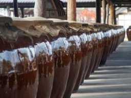 “4,000원에 시음 무제한?” 현대판 와이너리 체험 경기도 양조장 TOP 6