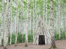 강원도 인제 여행 원대리 자작나무숲 주변 가볼만한곳 추천 :: 인제 자작나무 숲, 자작나무숲의투데이, 박인환문학관, 책방 나무야