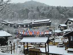 "여권 없이 일본에 온 느낌이에요" 한국이지만 일본 여행 느낌 완벽히 내는 국내 겨울 여행지