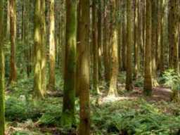 “내 생각을 확실하게 결정하고 싶을 때” 남자 혼자 여행하기 좋은 곳 국내 Best 4