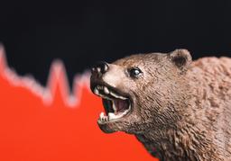 <strong>폭락</strong>을 통해 시장 앞에 겸손해집니다