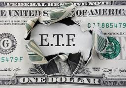 매월 배당을 주는 배당 성장 ETF | DGRW ETF 소개