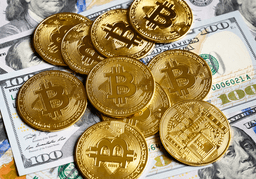 2023년 가상자산 시장, 가야 하나 말아야 하나?