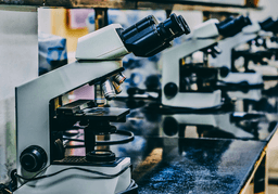 금양은 어떤 <strong>회사</strong>인가? #2