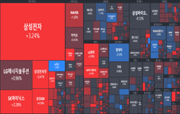 [개장] 삼전 컨디션 <strong>회복</strong>