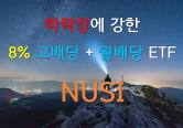 하락장에 <strong>강한</strong> 8% 고배당+월배당 ETF - NUSI