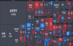 [개장] <strong>넷플</strong>의 독주는 끝났다