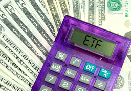 <strong>10</strong>년 동안 매년 배당금이 증액되고 주가도 매년 10%씩 상승한 최강의 배당성장 ETF ‘SCHD’