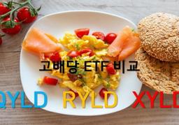 "세상에 공짜 점심은 없다 : 10%가 넘는 고배당 ETF 투자 <strong>유의사항</strong> #1"