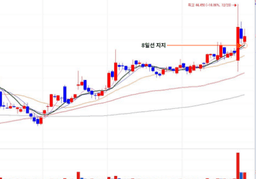 지지와 저항을 <strong>이용</strong>한 실전 매매