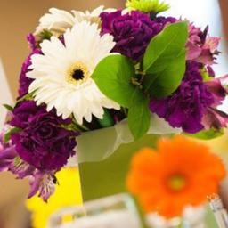 The Bloom <strong>Project</strong>