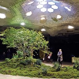 언더그라운드, 갈 때까지 갔다