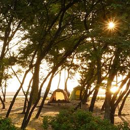 한여름 밤의 꿈같은 화진포