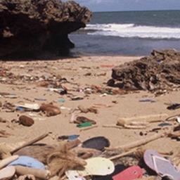 쪼리, 발에 신기만 할 건가요?