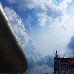 과열된 삶을 식히는 거리 2.8km