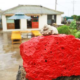 영화의 배경이 된, 되어줬으면 하는 제주도 <strong>카페</strong>