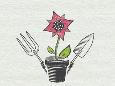 나만의 작은 시크릿 가든<br>미니 가드닝