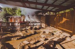 지옥물에 발 담그고 계란 먹는 기분은...