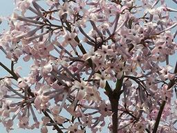 4월은 왜 잔인한 달일까