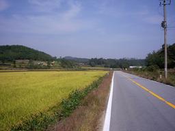 <strong>우울</strong>을 넘어서 『소피의 선택』과 『보이는 어둠』