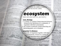 <strong>혁신</strong>, 그리고 생태계