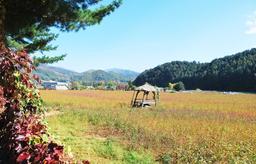 봉평 무이예술관, 예술과의 친숙한 소통이 가능한 곳