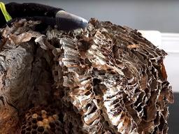 아주 단순한 <strong>바이럴</strong>영상으로 브랜드 인지도 끌어올리는 법