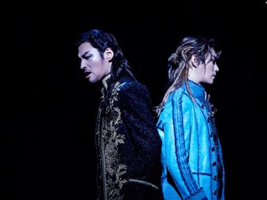 뮤지컬 '모차르트!'