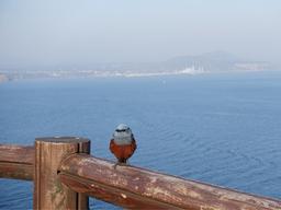 <strong>여름 휴가</strong> 어디로 가세요?