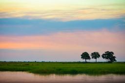 DSLR이 부럽지 않다! 똑딱이로 멋진 <strong>사진</strong> 남기는 방법 7가지