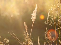 당신의 아침을 응원합니다