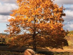온 몸으로 가을 맞기
