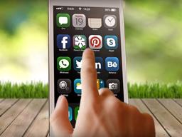 <strong>온디맨드</strong> 정원 관리 플랫폼 서비스, Plowz & Mowz