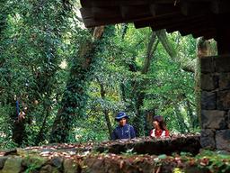 제주 사람들의 삶을 따라 걷는 숲