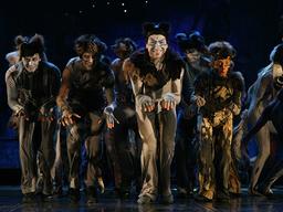 공연의 꽃, ‘뮤지컬의 역사’