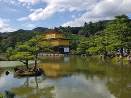 예측이여, 배신해다오