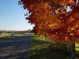 오비히로의 <strong>가을</strong>, 그곳으로 가고 싶어졌다