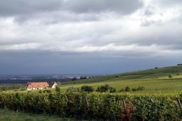 “가을의 <strong>냄새</strong>”