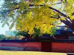 <strong>가을</strong>, 덜어냄의 미학