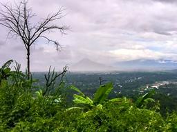 영원한 봄의 도시 <strong>베트남</strong> 달랏