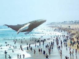 세상을 놀라게 했던 매직리프, 마케팅과 거짓말의 경계에 서다.