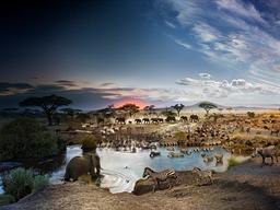 “Day to Night” : 시간의 흐름을 사진 한 장에 담다