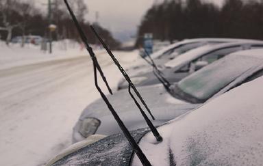 주차장에 와이퍼를<br>세워둔 차들, 그 이유는?