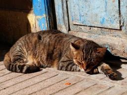 커피를 마실까, 10분만 잘까? 고민하지 마세요, 둘 다 하세요